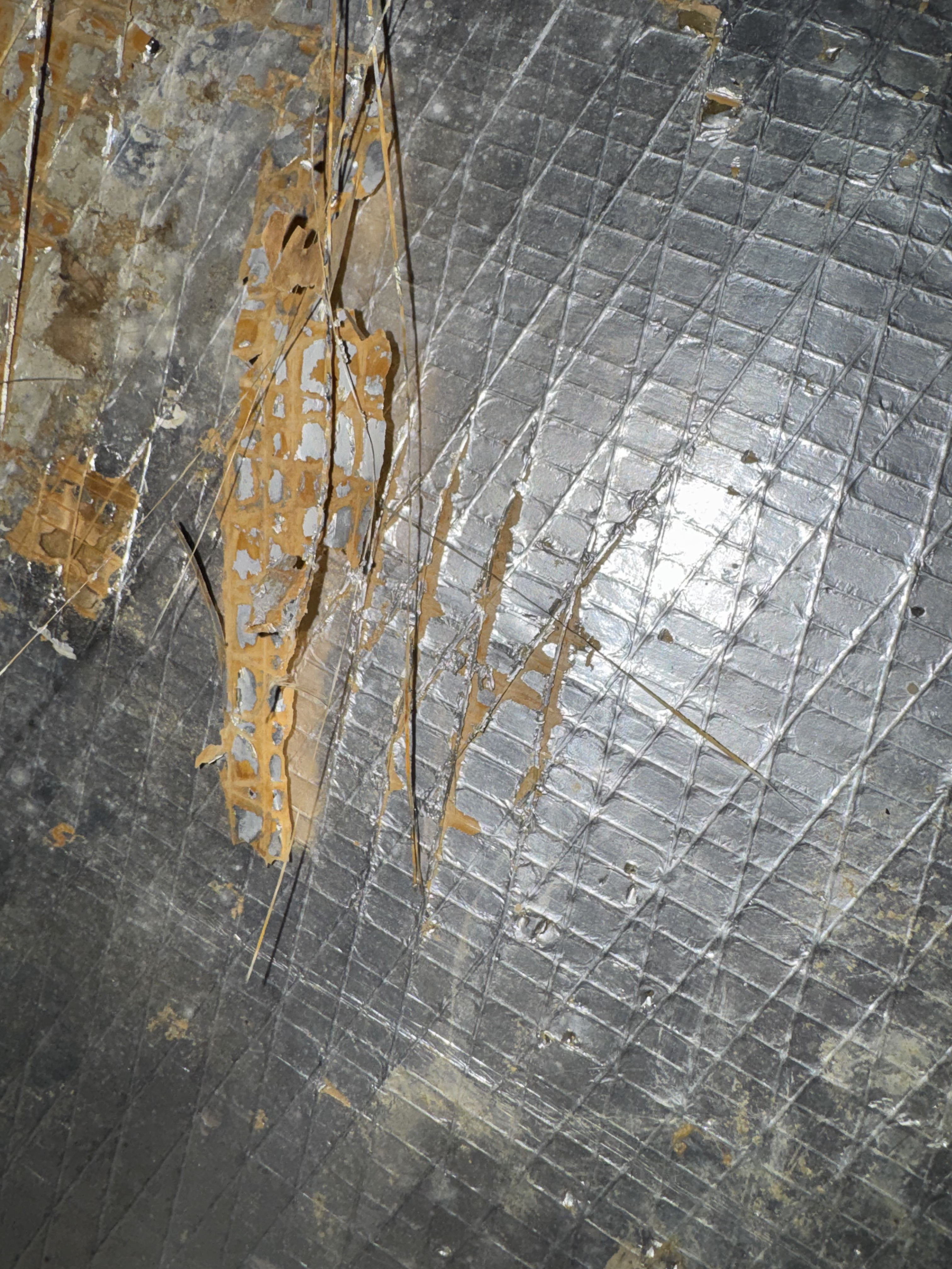 Water damage restoration Michigan